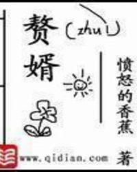 赘婿2