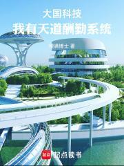 大国科技我有天道酬勤系统txt