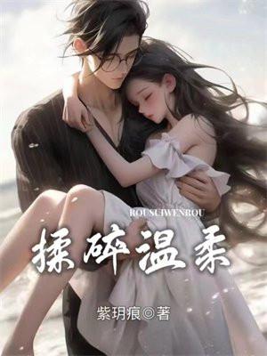 揉碎温柔TXT免费