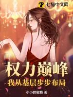 权力巅峰我从基层步步布局 第119章