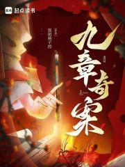 九章奇案txt百度 九章奇案txt百度