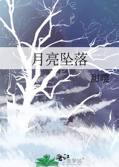 月亮坠落一万次讲的什么