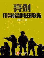 亮剑打坂田连队是哪一集