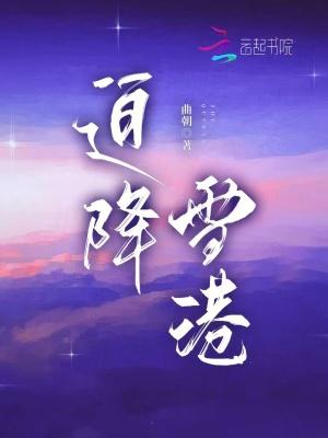 迫降雪港免费阅读全文
