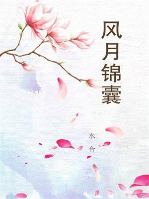 风月锦囊番外结局是什么