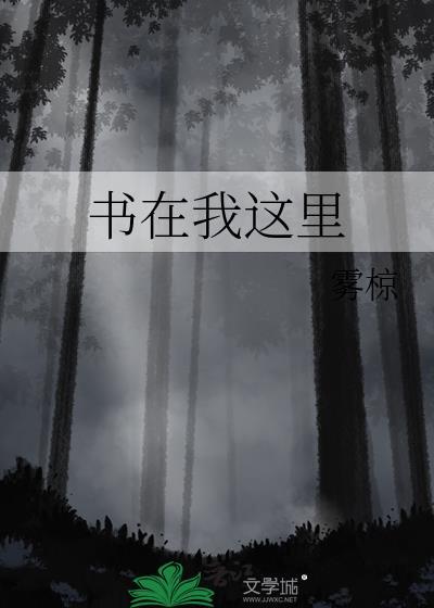 书在我这里作者雾椋