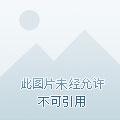 我的天赋无上限林天浩周小胖 第501章