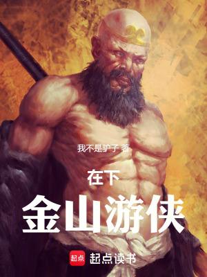 在下金山游侠无防盗最新