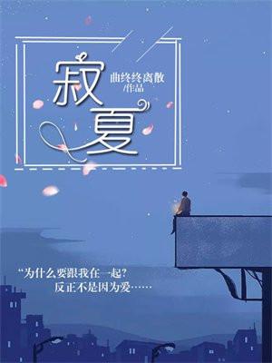 寂夏公司