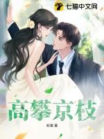 高攀京枝孟楚