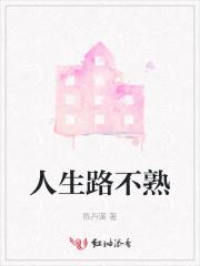 人生路不熟评分