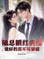 陆总那个是什么电视剧