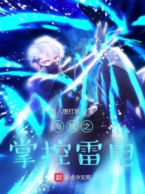 海贼之雷电大将
