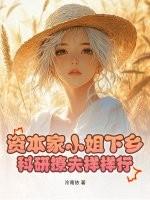 资本小姐什么意思
