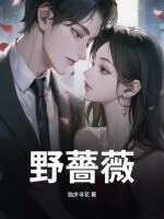 野蔷薇电视剧