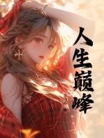 人生巅峰完整版免费