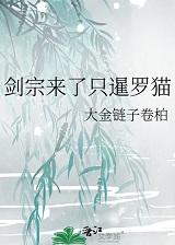 剑宗来了只暹罗猫TXT