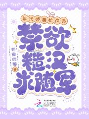 年代嫁糙汉