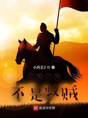 三国之我不是蚁贼校对