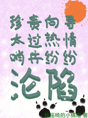 哨兵向导钟情 哨兵向导钟情