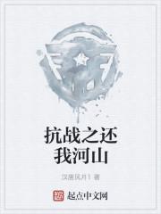 抗战之还我河山TXT