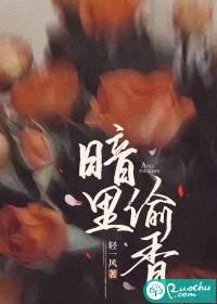 暗香偷书