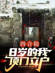 四合院八进八出 四合院八进八出