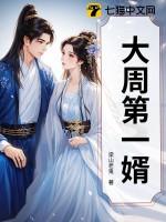 大周第一婿txt八零电子书