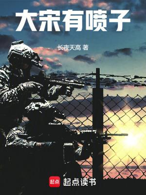 大宋有点