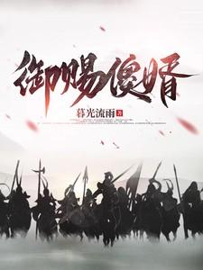 御赐傻婿虾仁免费观看全集
