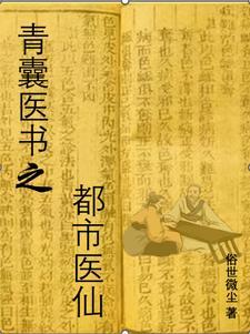 青囊医书之都市医仙大结局
