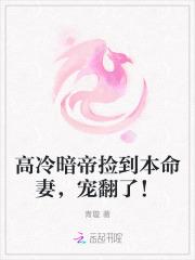 宠翻了免费阅读