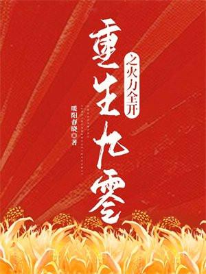 重生九零之火力全开晋江