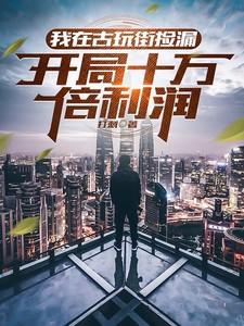 古玩捡漏从1985开始免费阅读 古玩捡漏从1985开始免费阅读