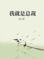 我就是总裁大人剧情