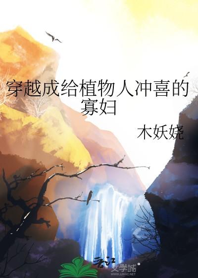 穿成给植物人冲喜的寡妇又叫什么