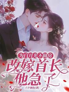 为白月光不圆房改嫁首长他急了靳妄
