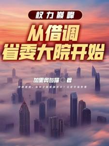 权力巅峰从借调省委大院开始作者加里奥与猫