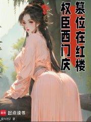 权臣西门庆篡位在红楼txt 权臣西门庆篡位在红楼txt
