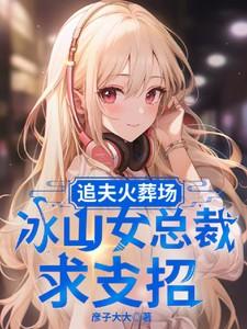 追夫追到火葬场