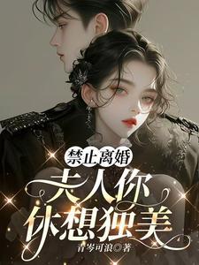 夫人你休想独美 有声