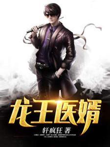 龙王医婿最