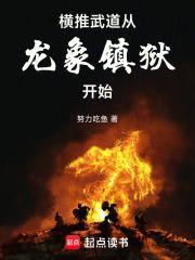 龙象剑主正版