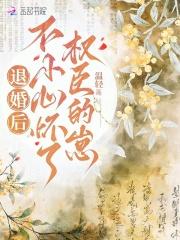 不小心怀了权臣的崽闭趣阁