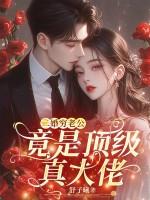 二婚老公实力宠全文免费阅读二婚嫁首长