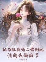 挺孕肚离婚二嫁财阀