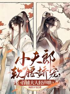 小夫郎的赘婿首辅路归途