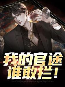 我的官路性途 杨旭