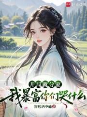 开局就分家
