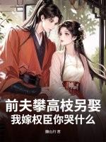 前夫高攀不起免费 前夫高攀不起免费